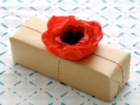 duitang Fabric Poppy